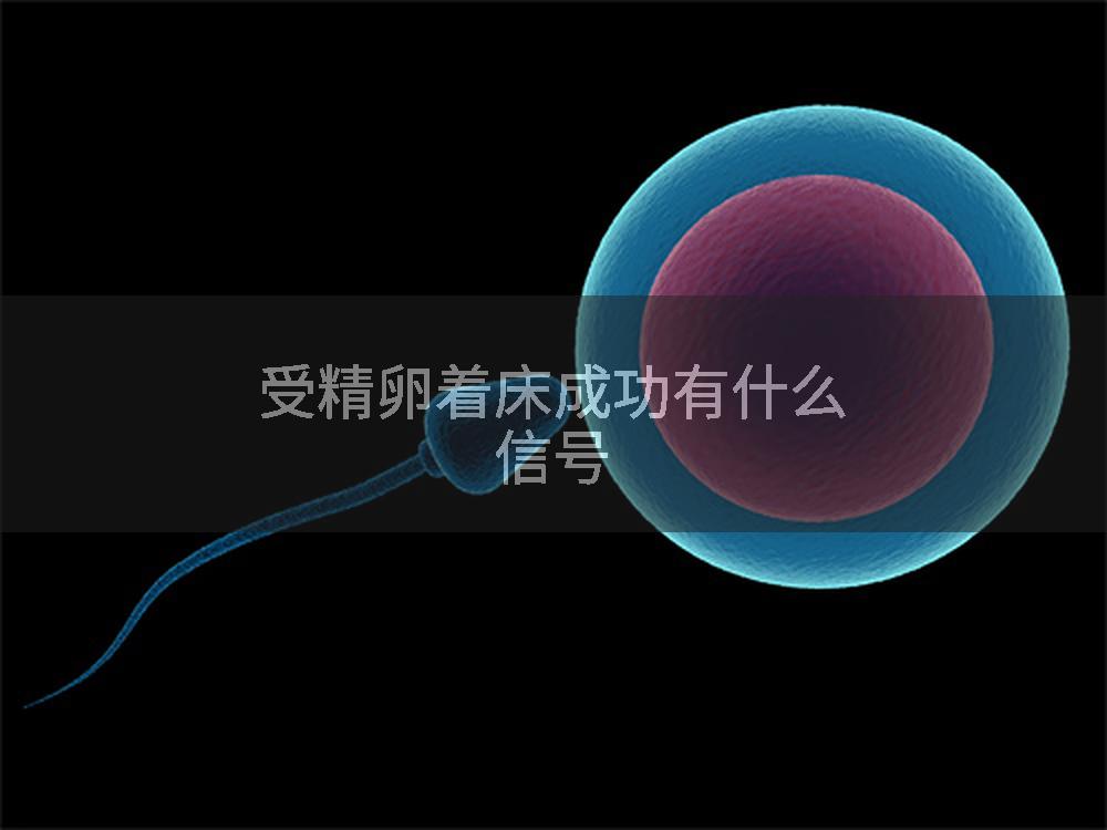 受精卵着床成功有什么信号
