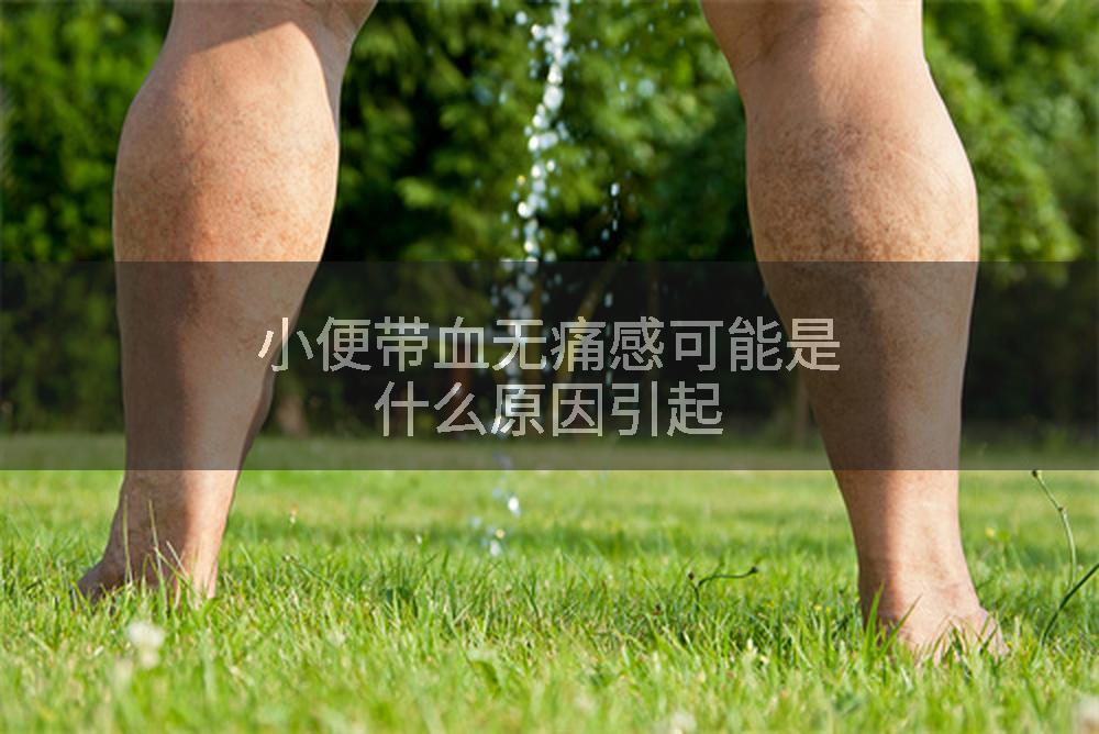 小便带血无痛感可能是什么原因引起