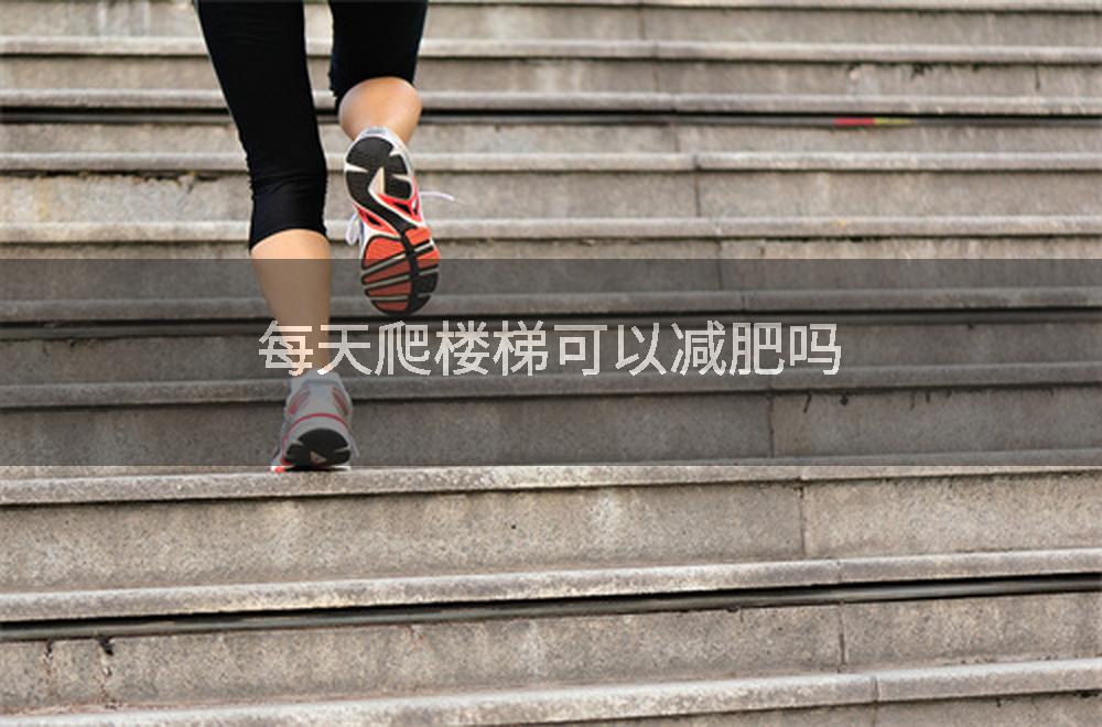 每天爬楼梯可以减肥吗
