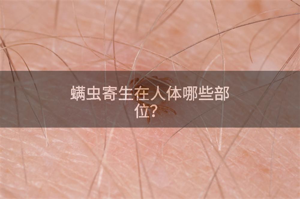 螨虫寄生在人体哪些部位？