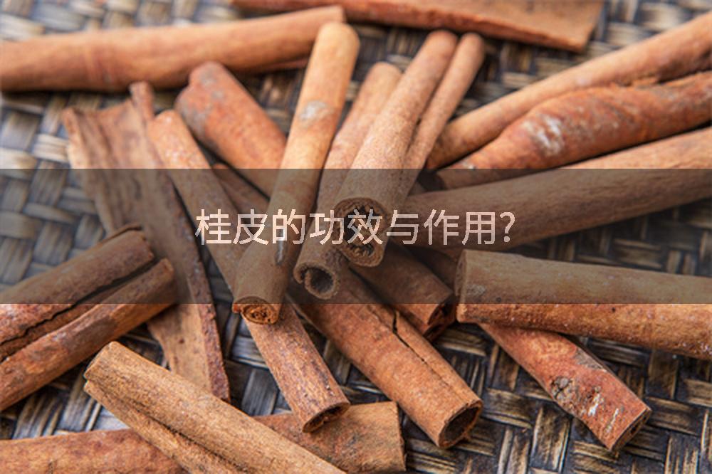 桂皮的功效与作用?
