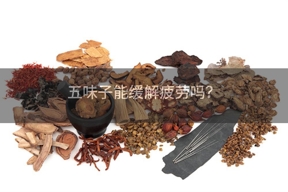 五味子能缓解疲劳吗？