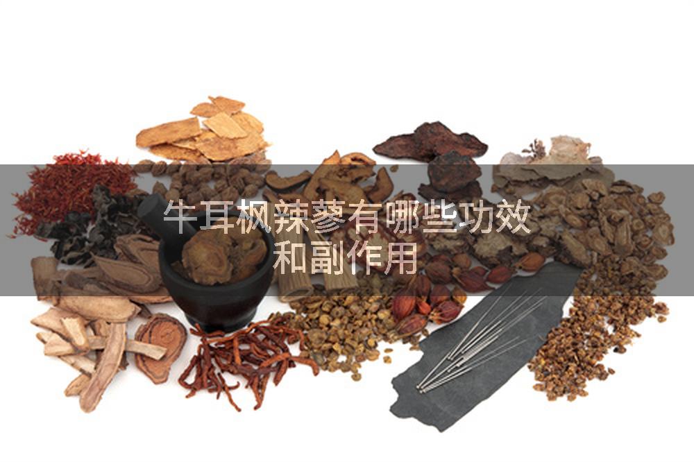 牛耳枫辣蓼有哪些功效和副作用