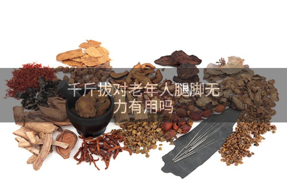 千斤拔对老年人腿脚无力有用吗