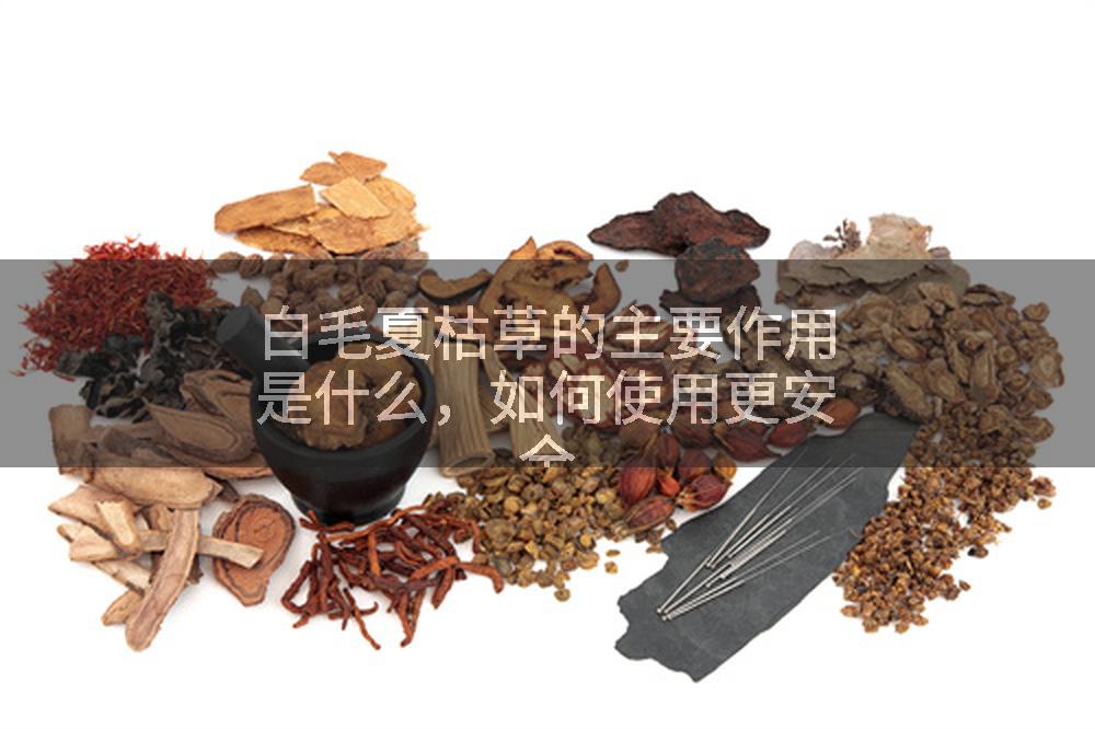 白毛夏枯草的主要作用是什么,如何使用更安全