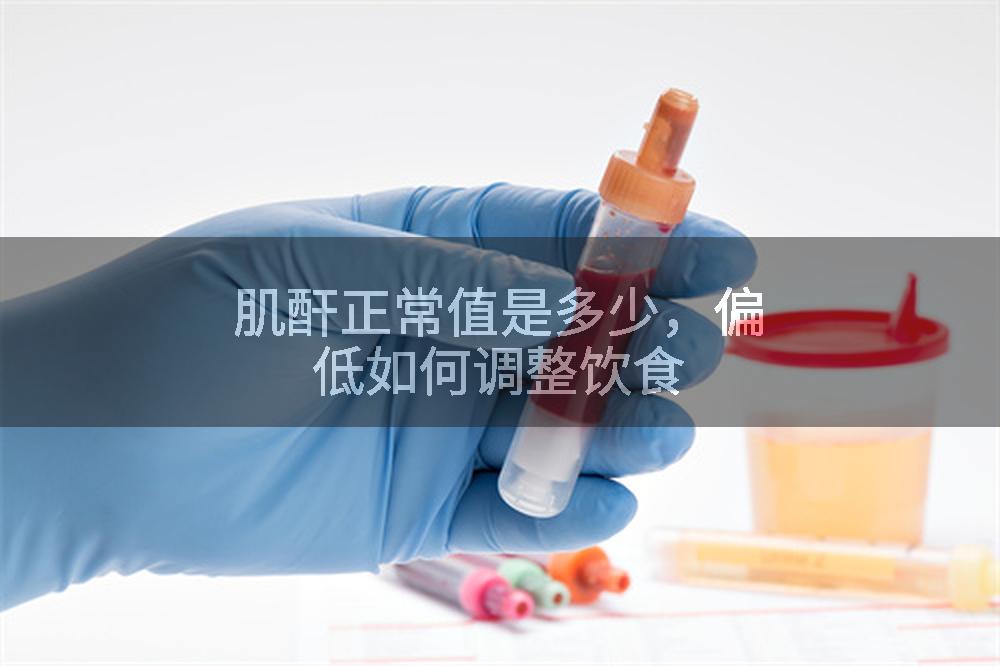 肌酐正常值是多少，偏低如何调整饮食