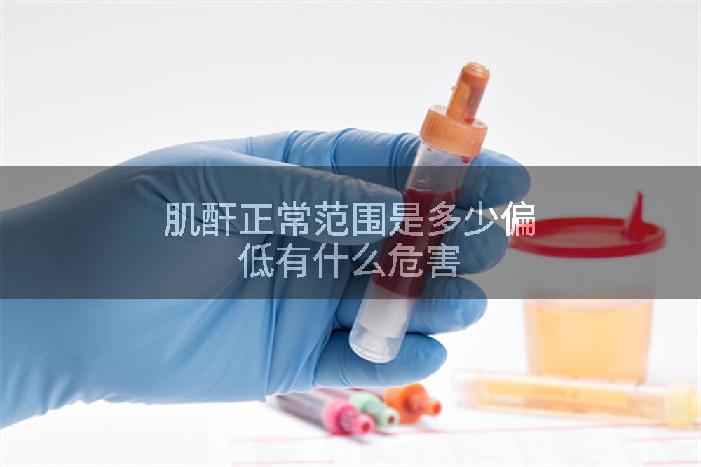 肌酐正常范围是多少偏低有什么危害