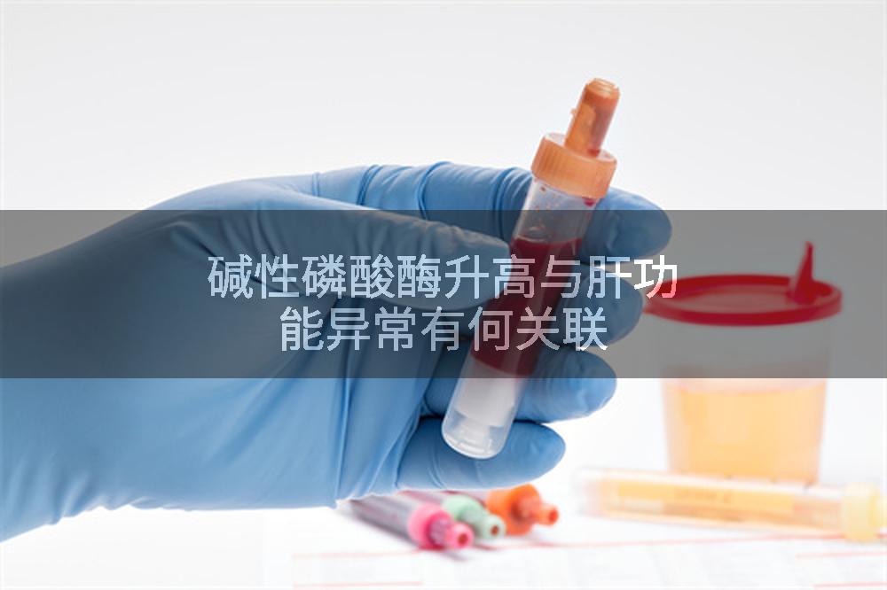 碱性磷酸酶升高与肝功能异常有何关联
