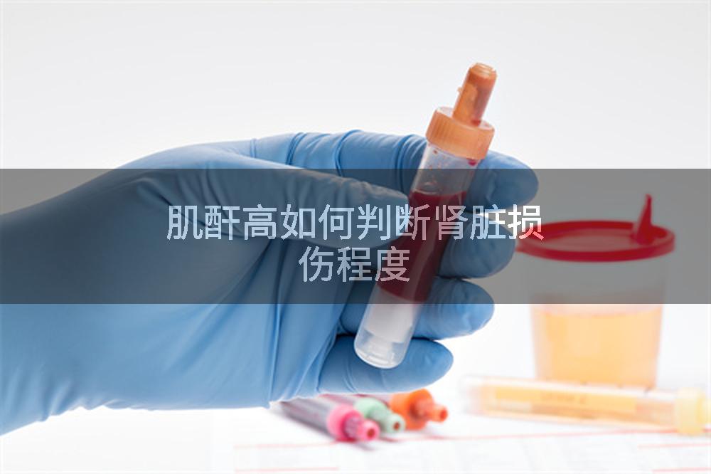 肌酐高如何判断肾脏损伤程度