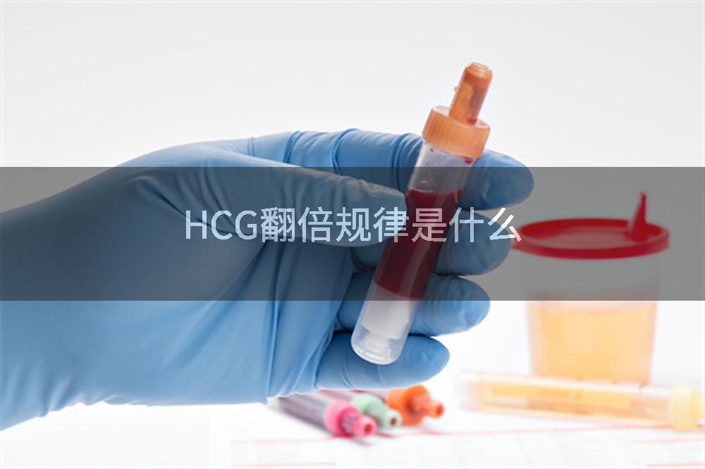 HCG翻倍规律是什么