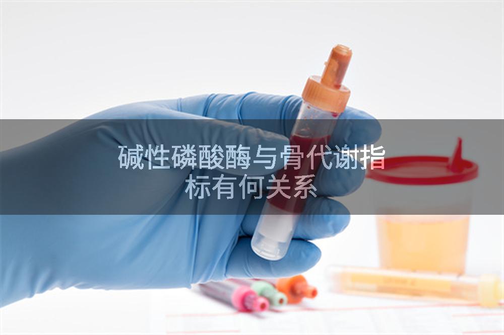 碱性磷酸酶与骨代谢指标有何关系