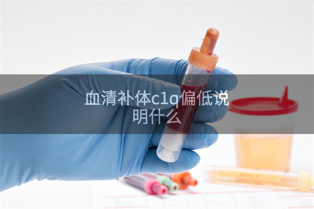 血清补体c1q偏低说明什么