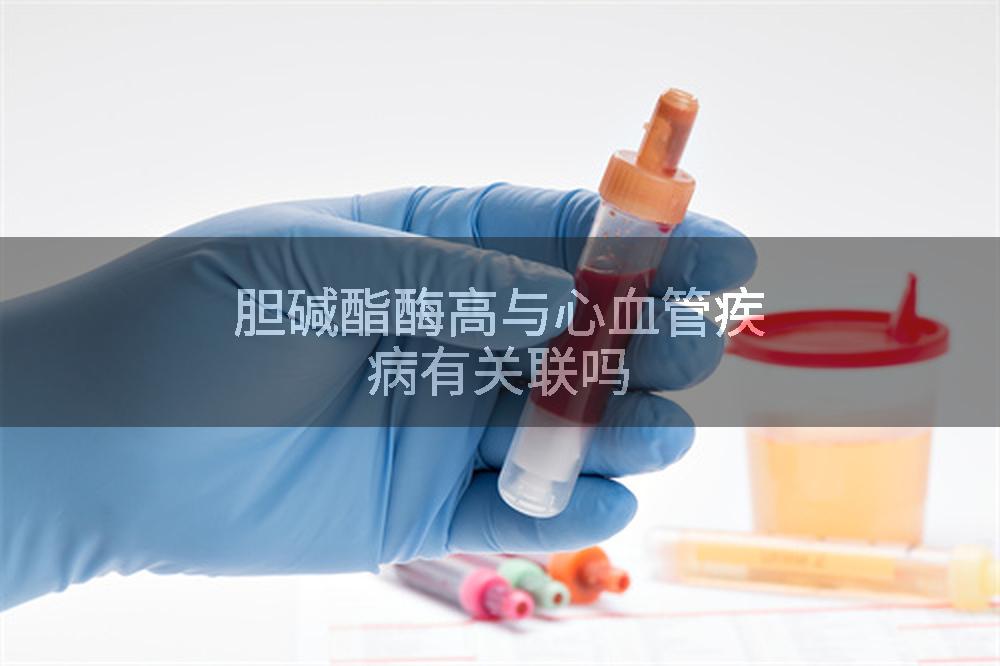 胆碱酯酶高与心血管疾病有关联吗
