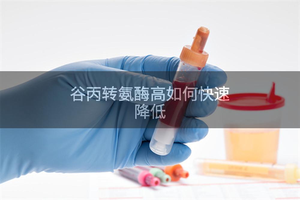 谷丙转氨酶高如何快速降低