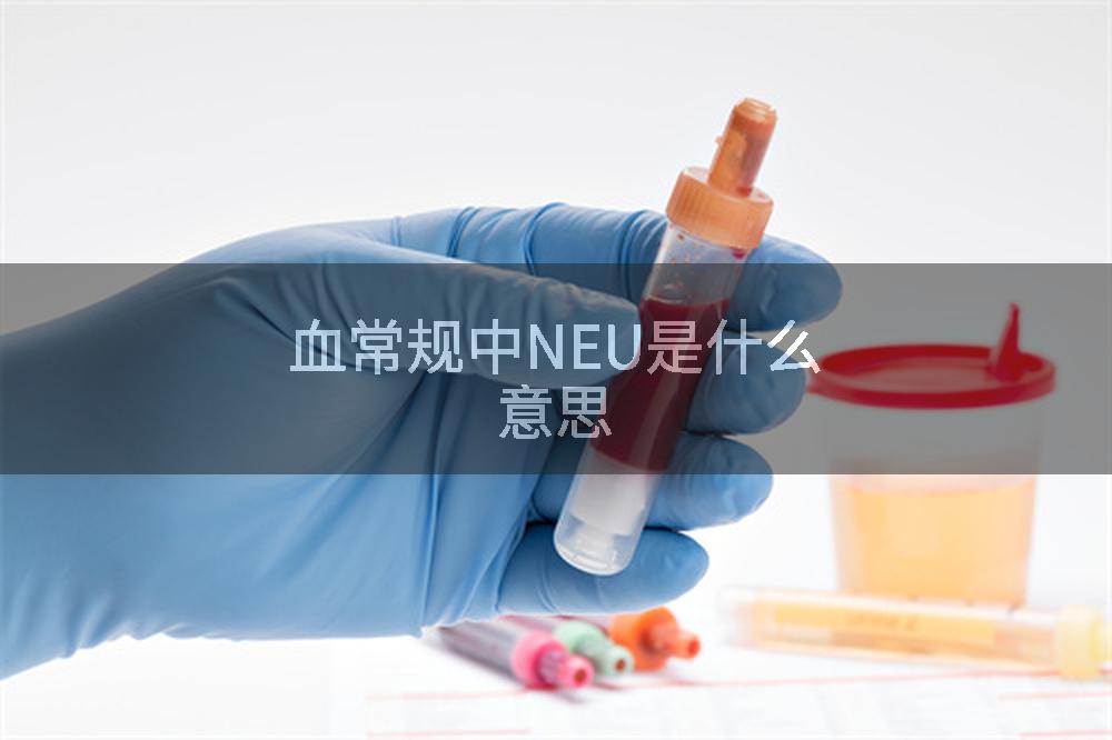 血常规中NEU是什么意思