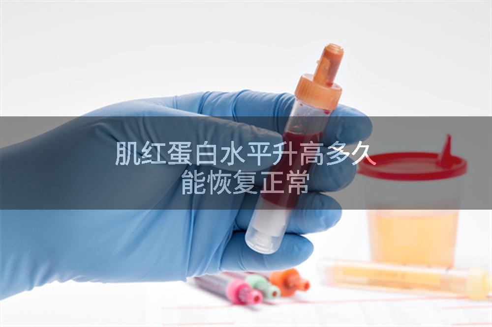 肌红蛋白水平升高多久能恢复正常