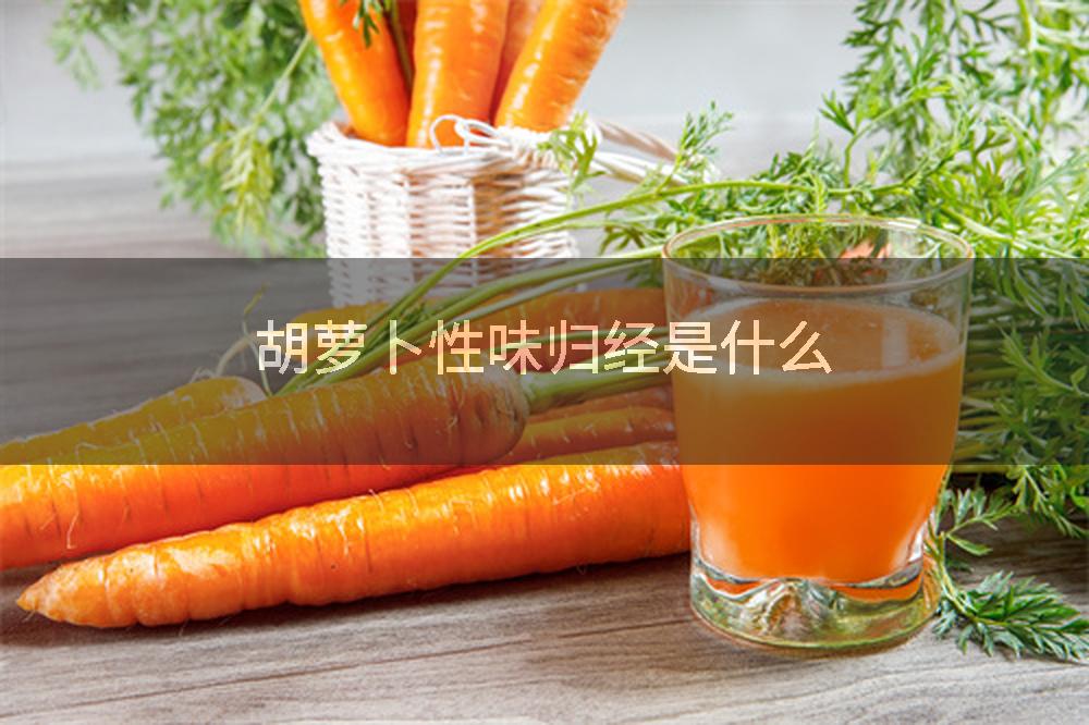 胡萝卜性味归经是什么