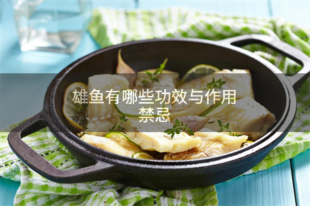 雄鱼有哪些功效与作用禁忌