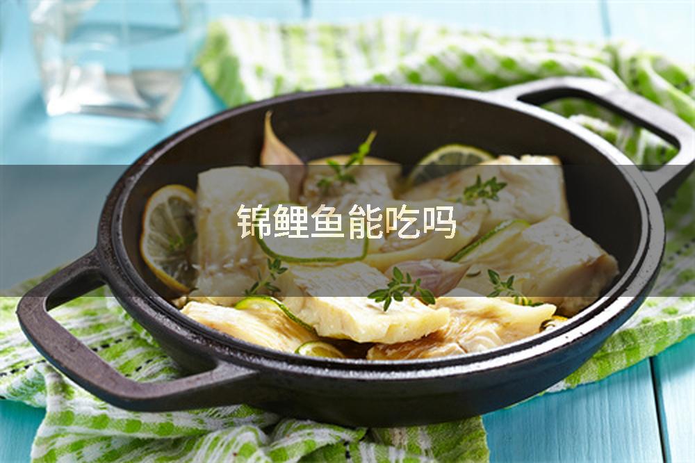 锦鲤鱼能吃吗