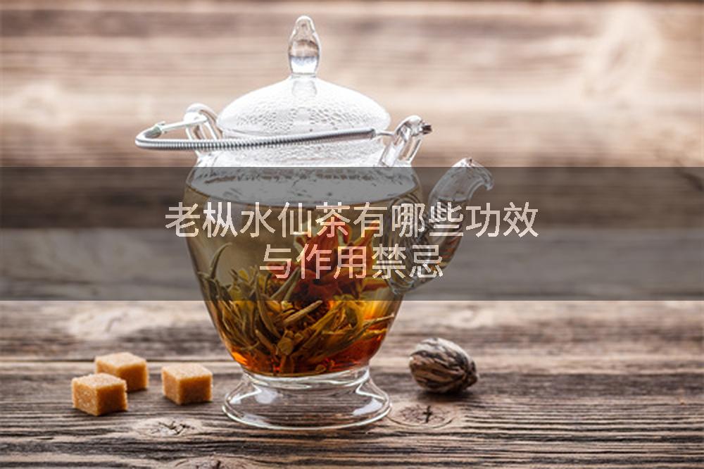 老枞水仙茶有哪些功效与作用禁忌