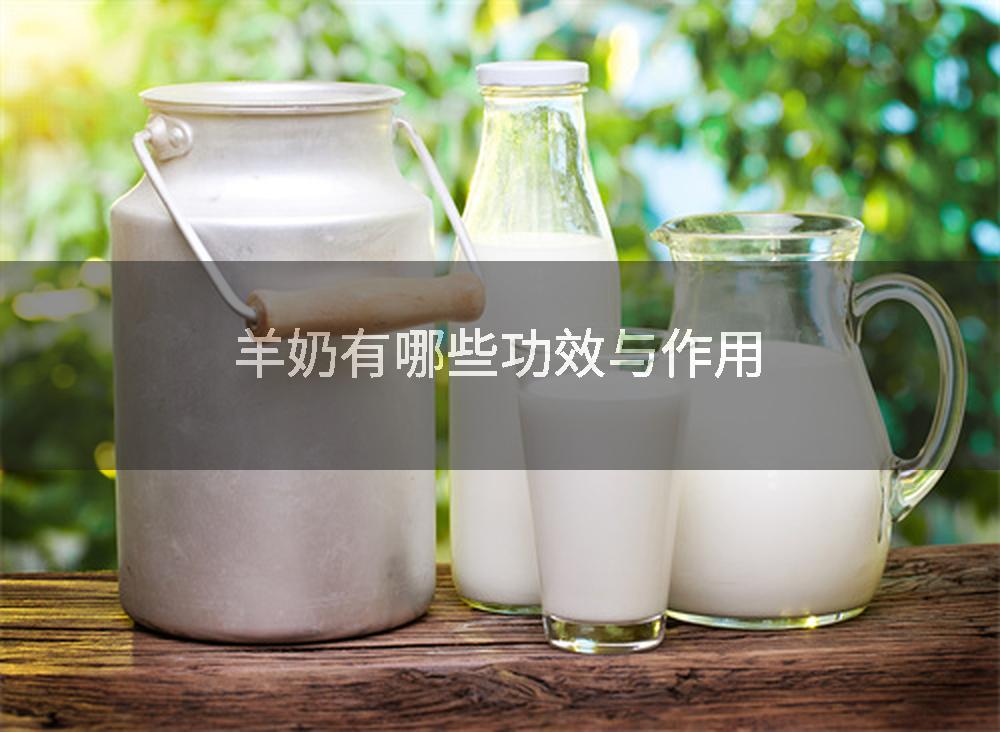 羊奶有哪些功效与作用