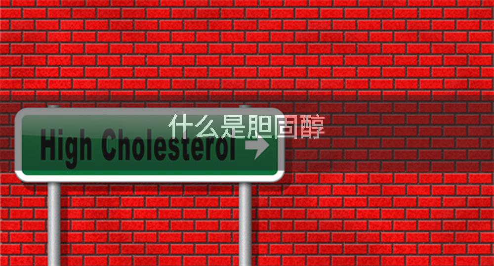 什么是胆固醇