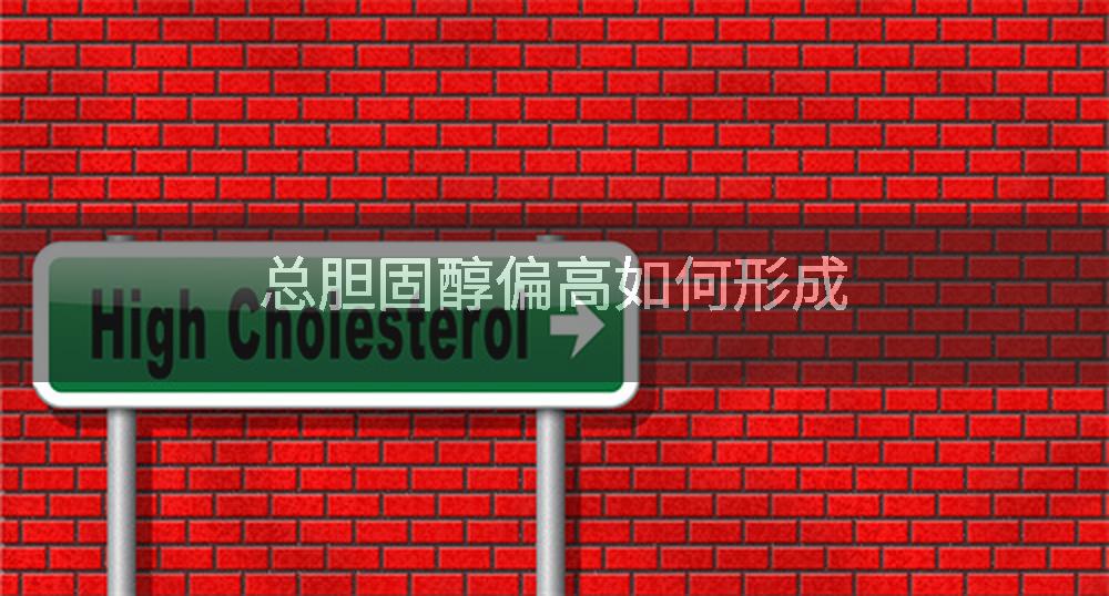 总胆固醇偏高如何形成