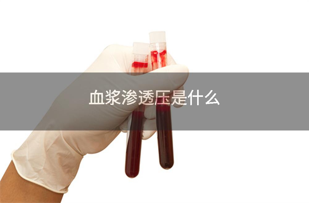 血浆渗透压是什么