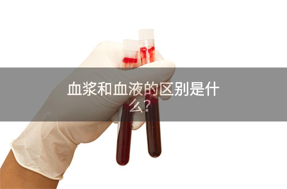 血浆和血液的区别是什么？