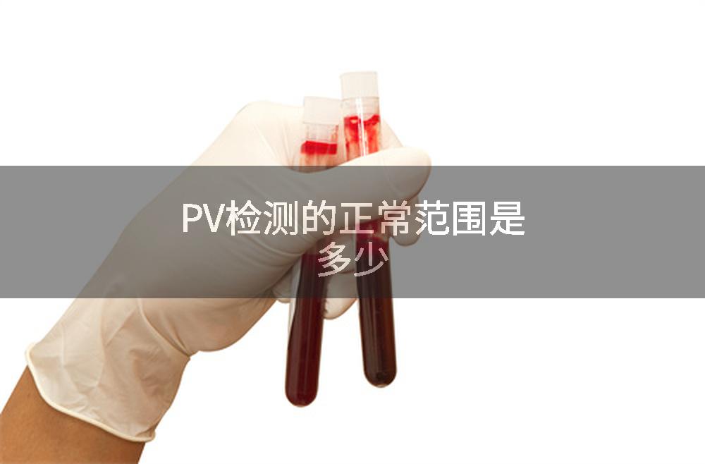 PV检测的正常范围是多少