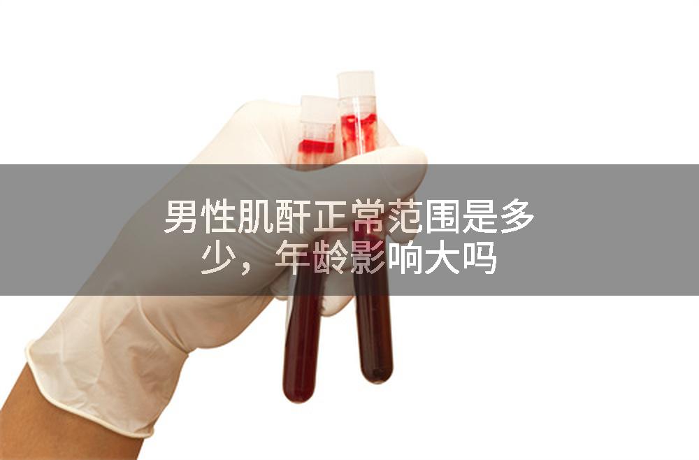 男性肌酐正常范围是多少,年龄影响大吗