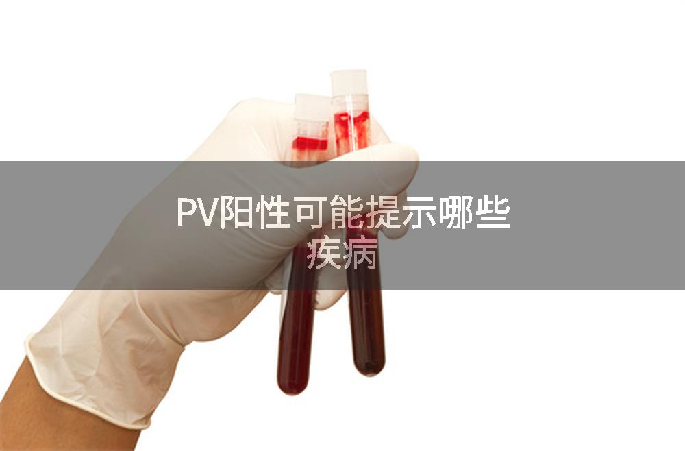 PV阳性可能提示哪些疾病