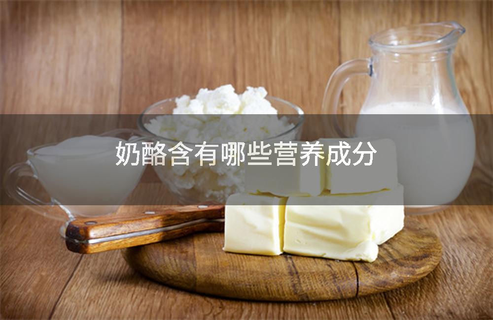 奶酪含有哪些营养成分