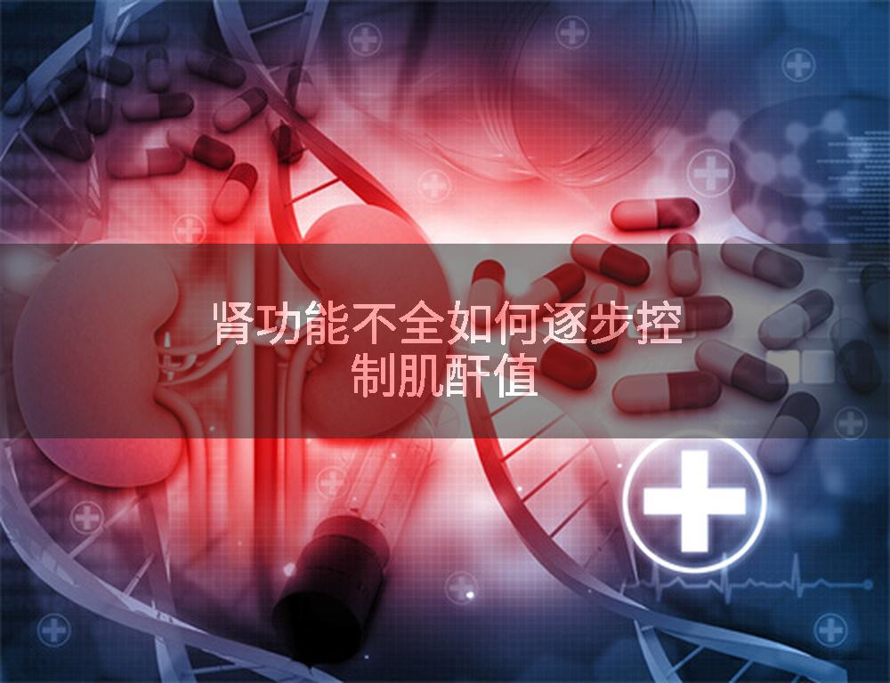 肾功能不全如何逐步控制肌酐值