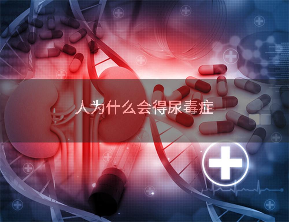 人为什么会得尿毒症