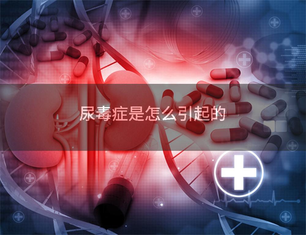 尿毒症是怎么引起的