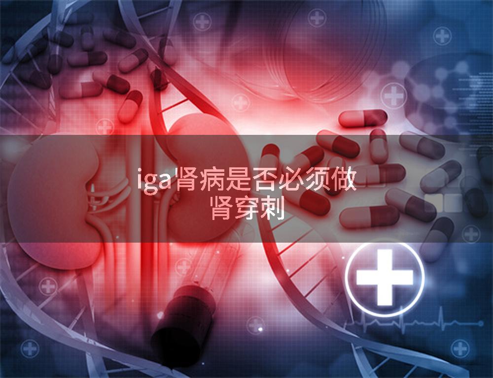 iga肾病是否必须做肾穿刺