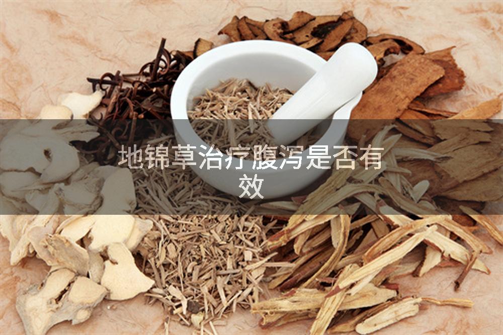 地锦草治疗腹泻是否有效