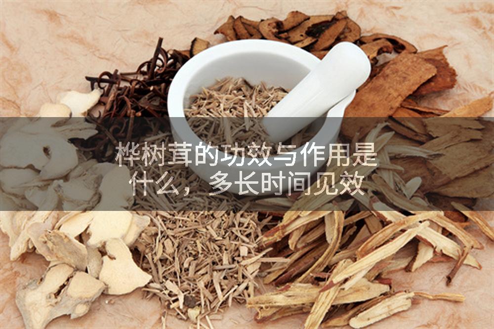 桦树茸的功效与作用是什么，多长时间见效