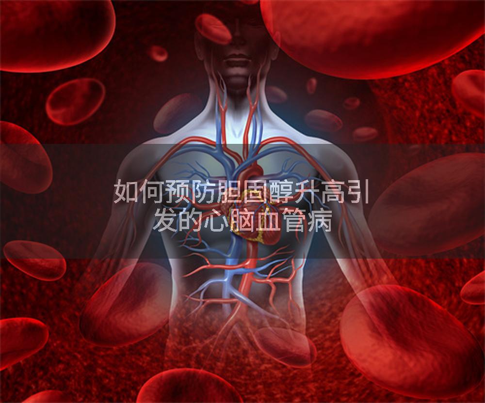 如何预防胆固醇升高引发的心脑血管病