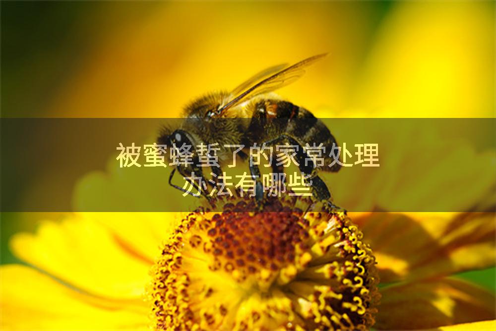 被蜜蜂蜇了的家常处理办法有哪些