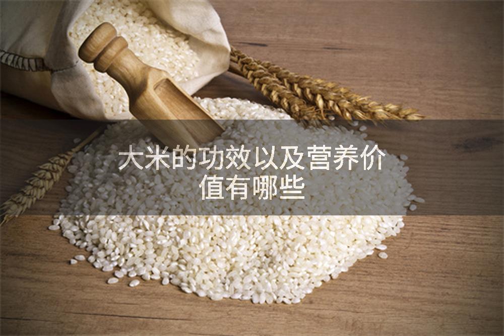 大米的功效以及营养价值有哪些