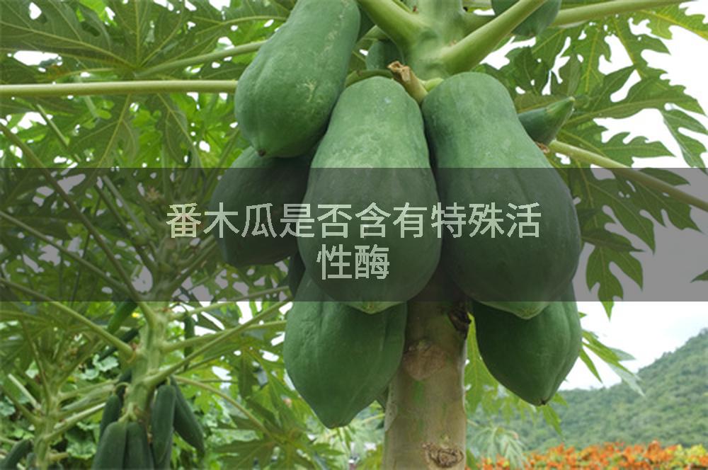 番木瓜是否含有特殊活性酶