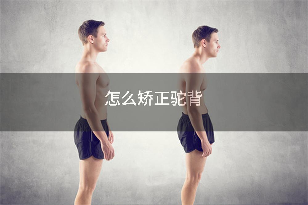 怎么矫正驼背