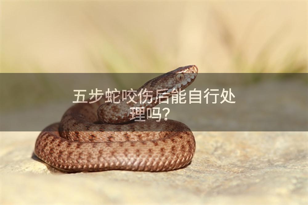 五步蛇咬伤后能自行处理吗？