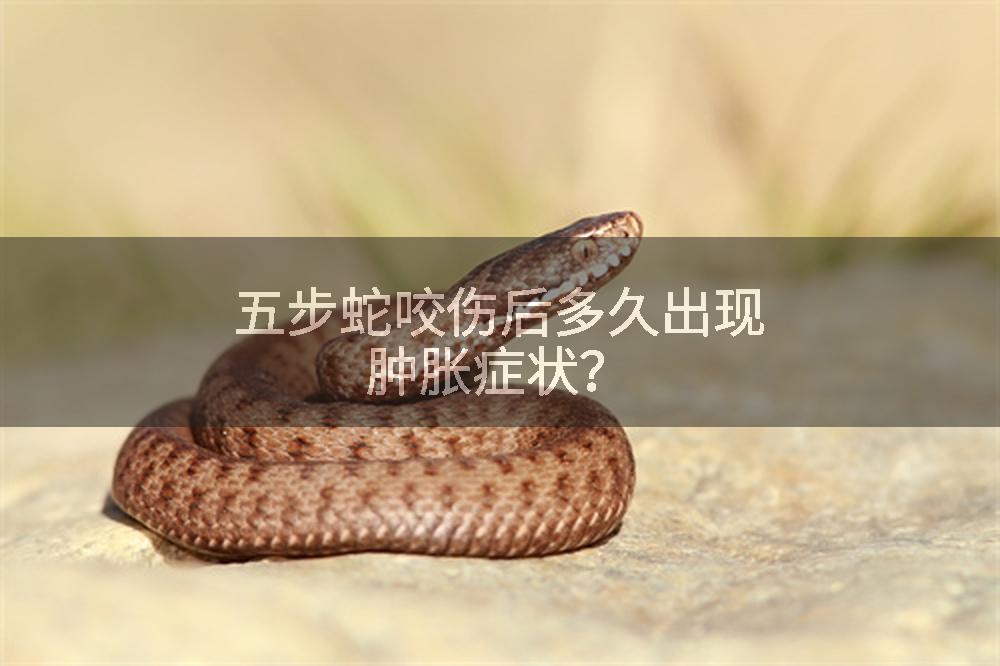 五步蛇咬伤后多久出现肿胀症状？