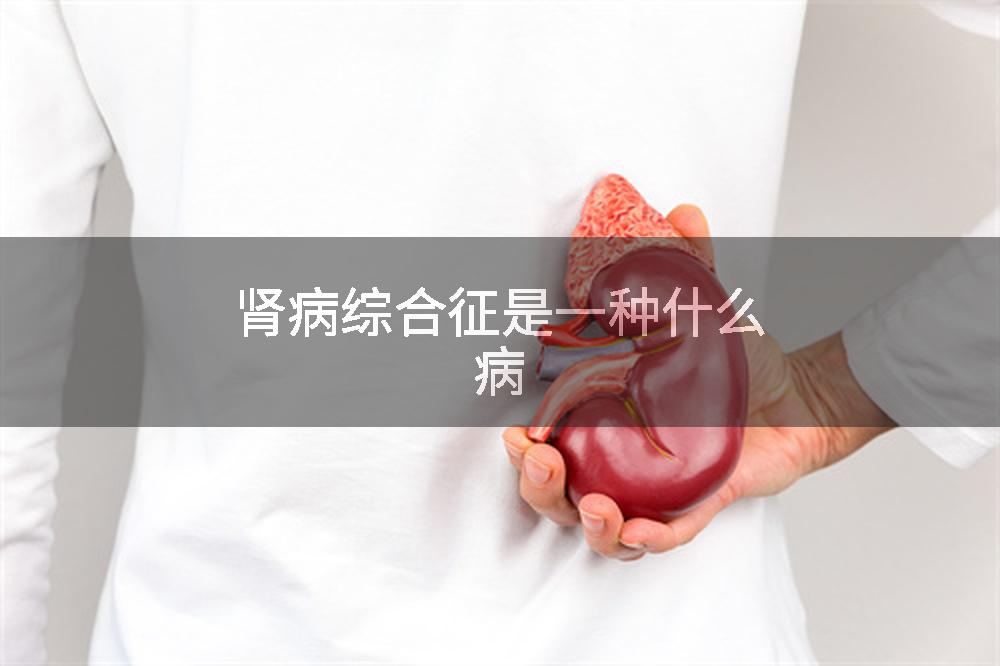 肾病综合征是一种什么病