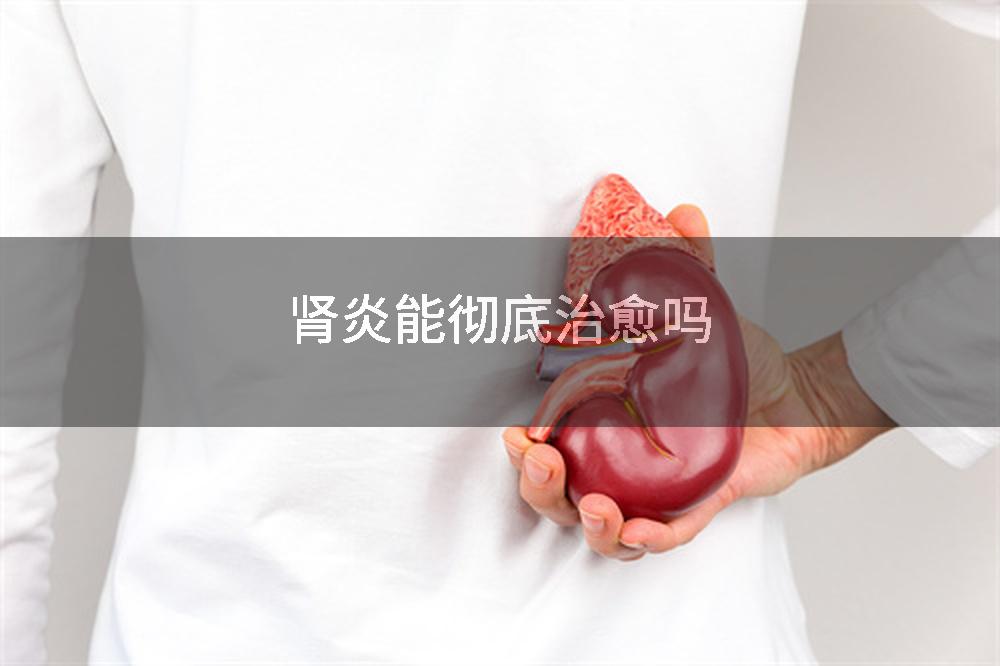 肾炎能彻底治愈吗