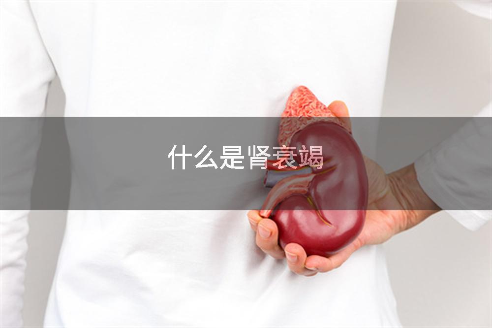 什么是肾衰竭