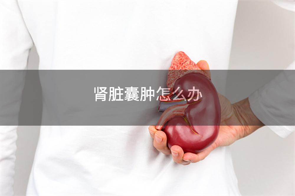 肾脏囊肿怎么办